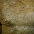 centaurospo-19