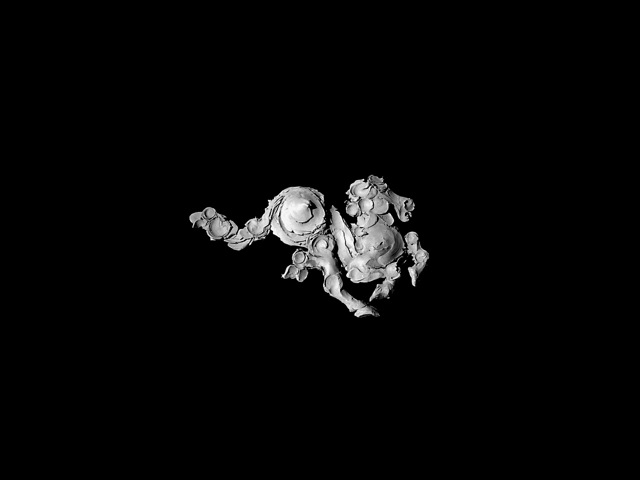 Loading Image