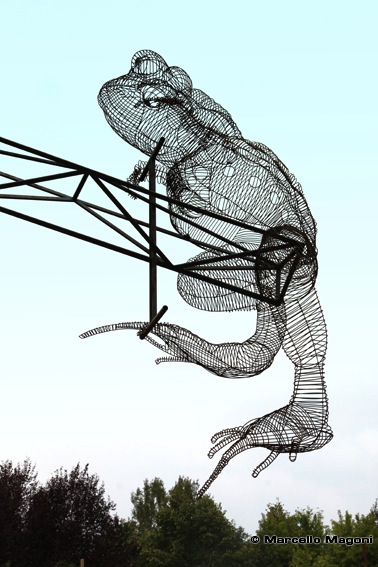 Loading Image